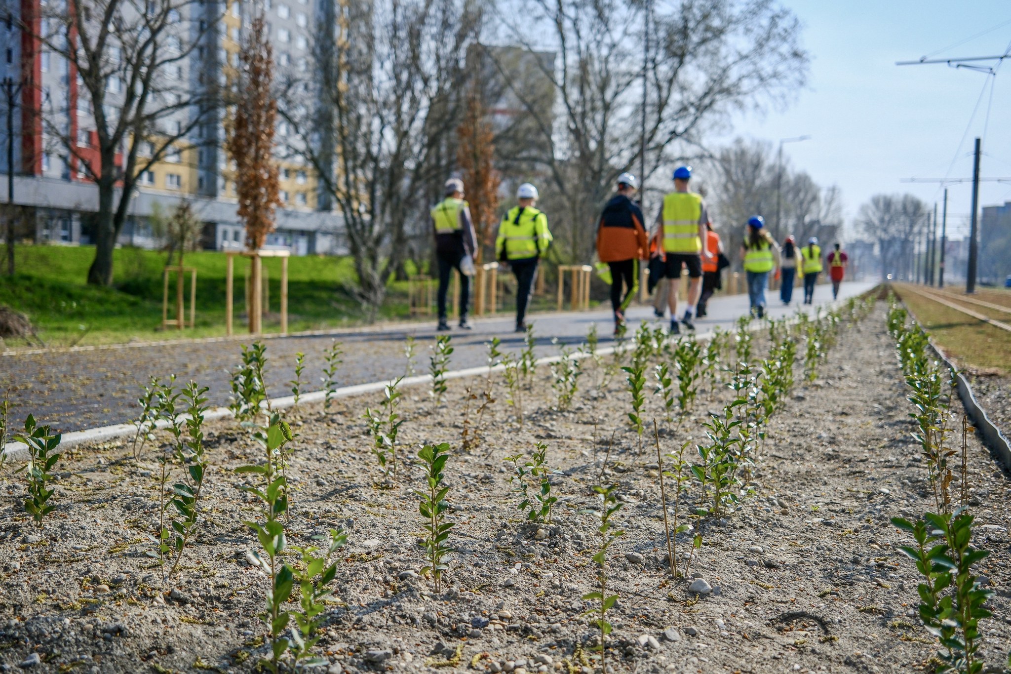 Dokončovacie práce a výstavba v okolí petržalskej električky