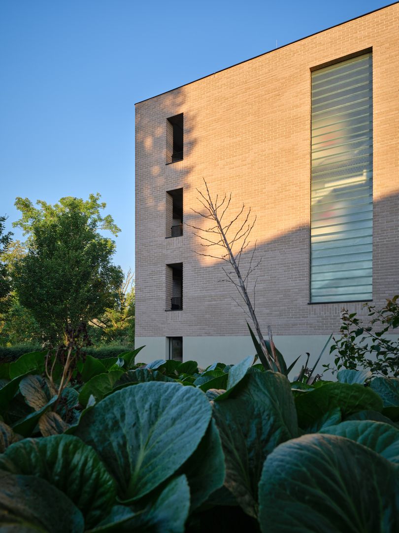 mars architects libcice (13)