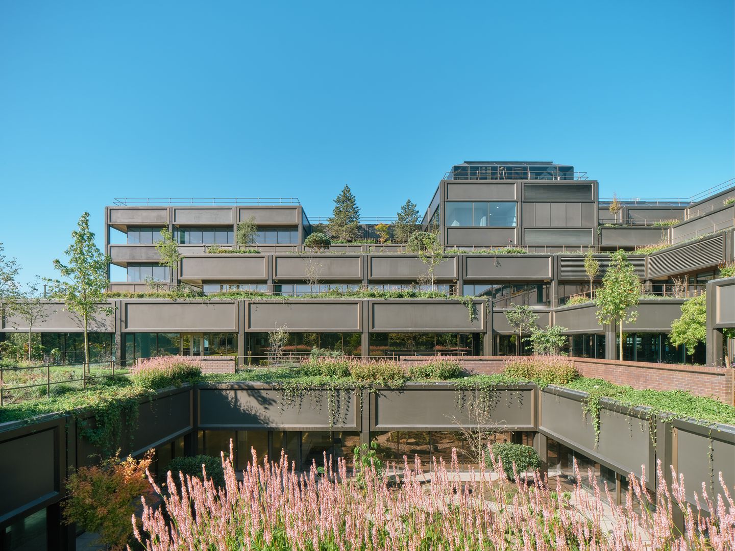 plant basingstoke (1)