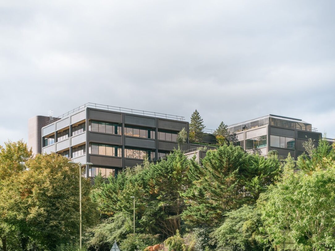 plant basingstoke (13)