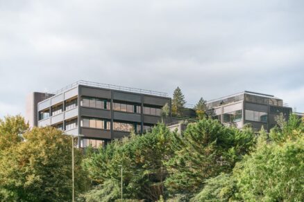 plant basingstoke (13)