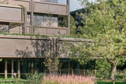 plant basingstoke (2)