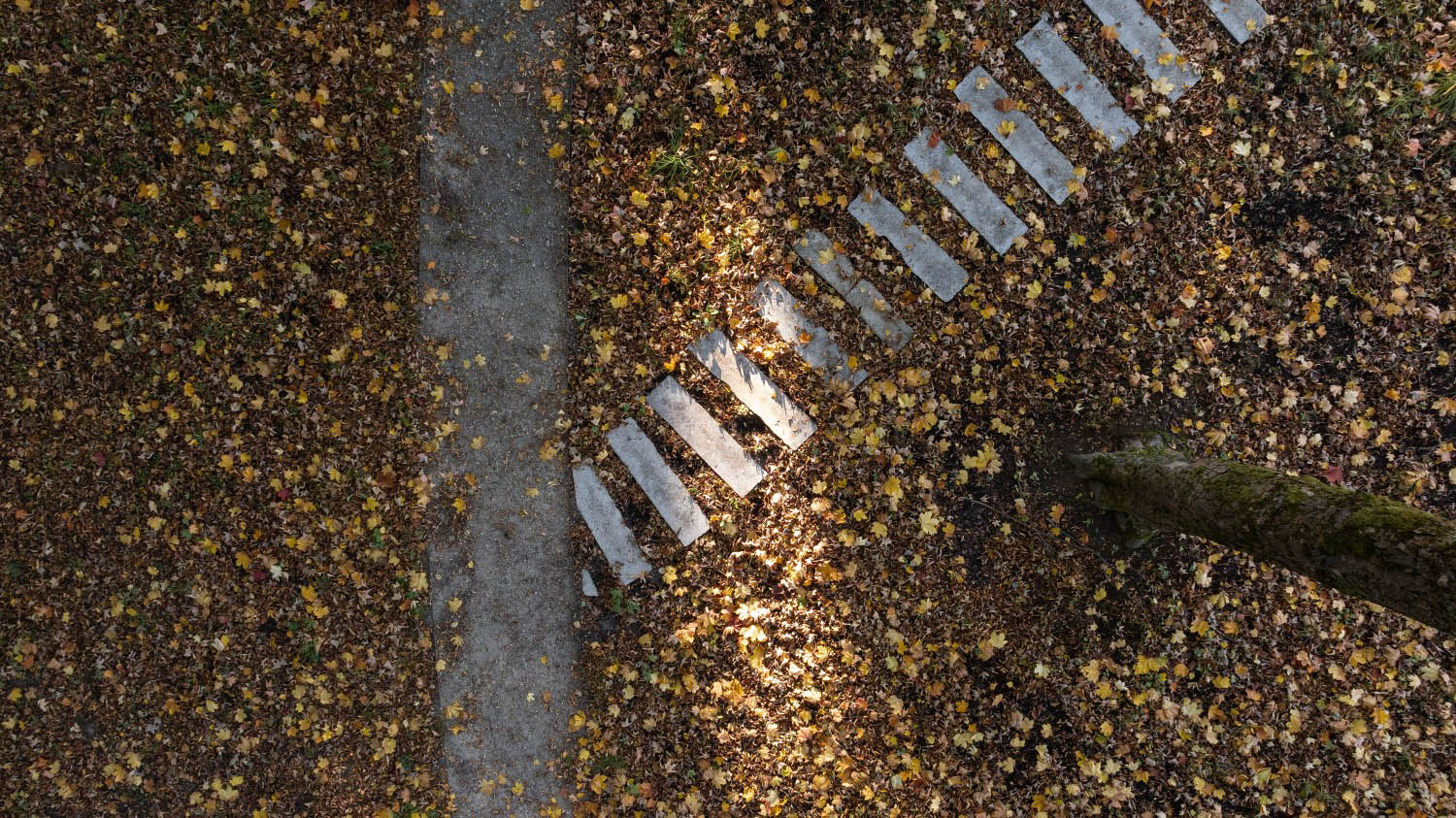 Park histórie v Aši