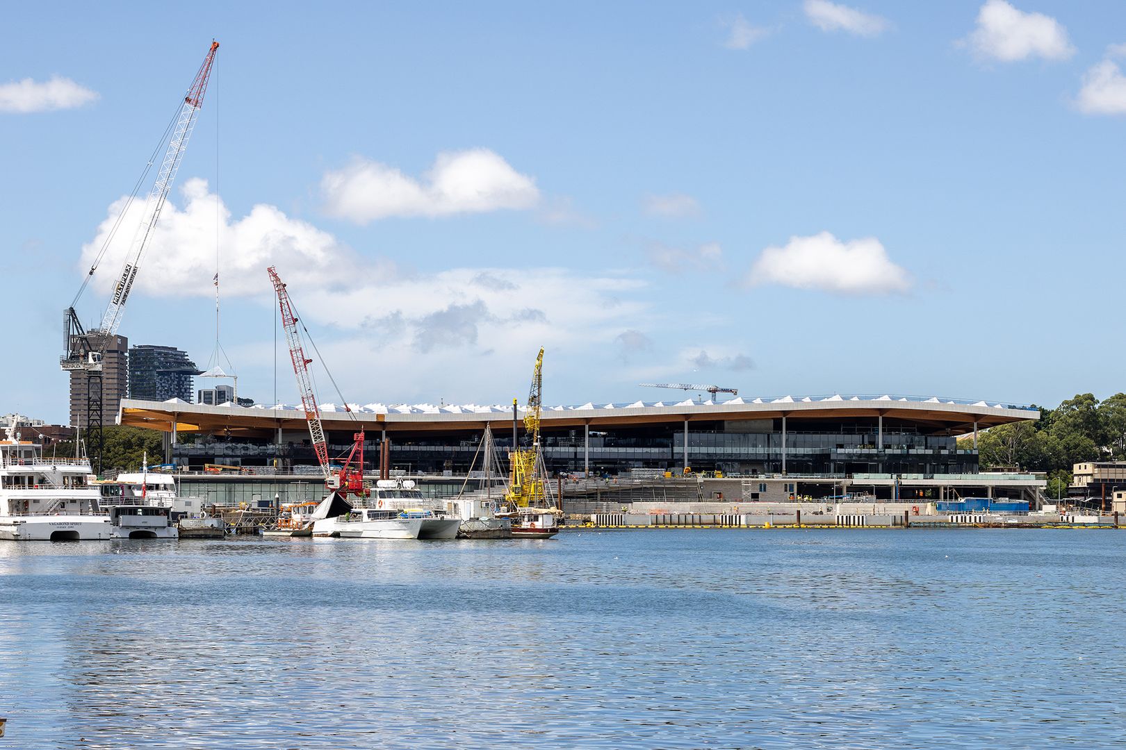 Sydney Fish Market