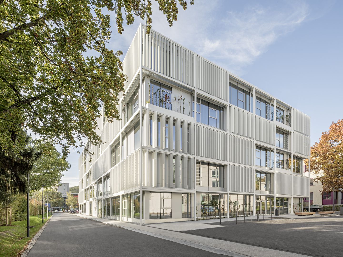 dom skol linz (3)