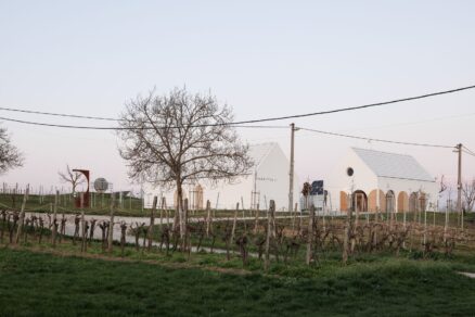 vinarstvo strekov (1) výsledok