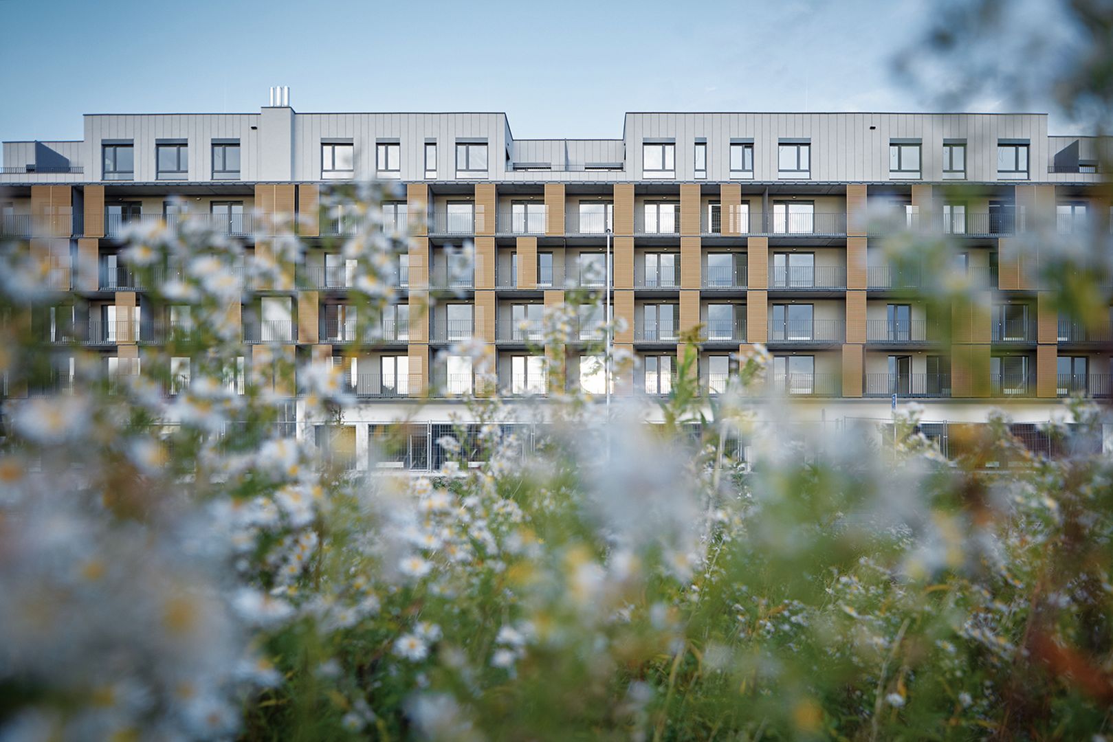 Slnečnice – Južné mesto, zóna C3 – bytové domy, 1. etapa, Bratislava-Petržalka, 2020. Stavba roka 2022
