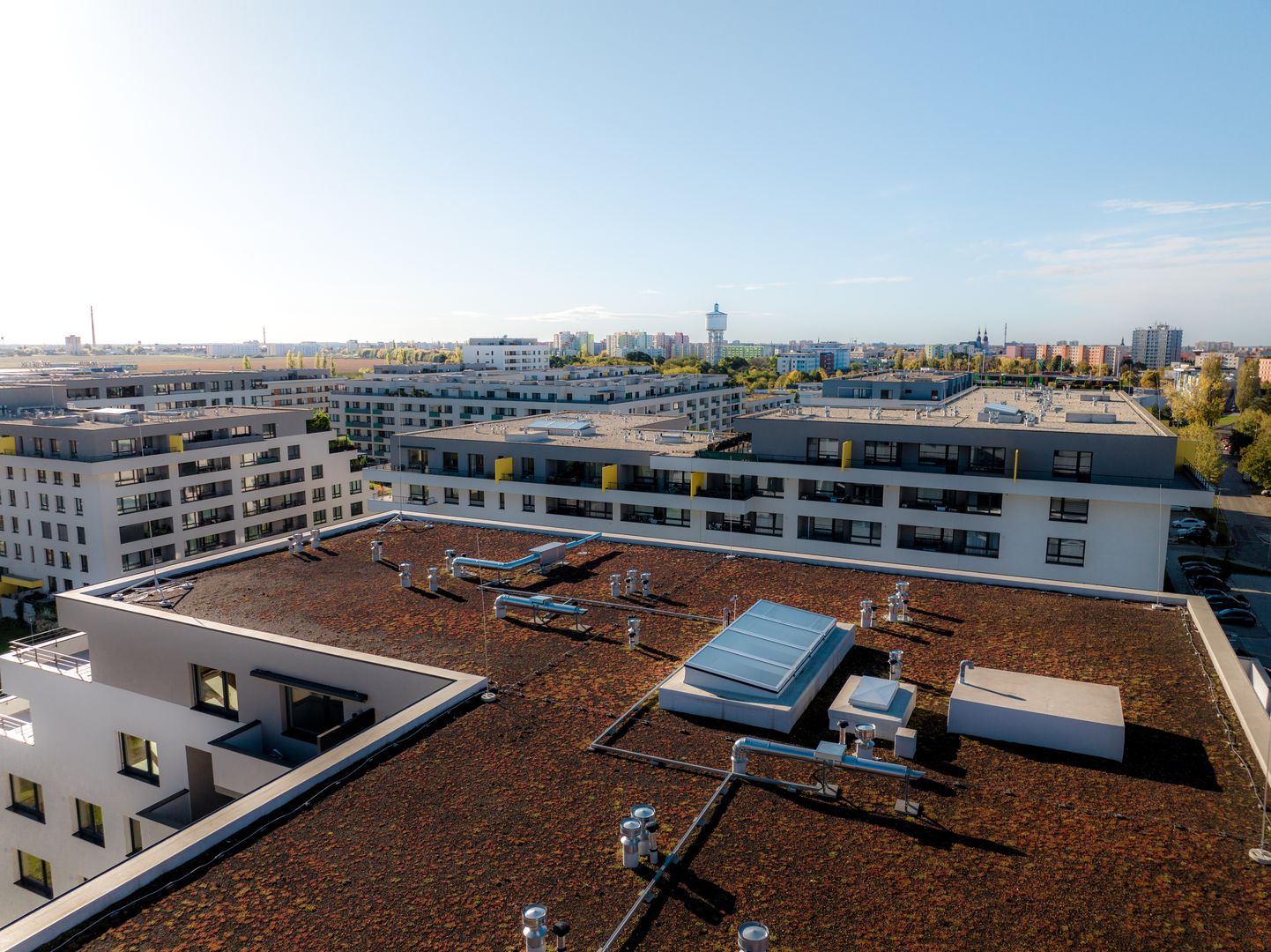 Arboria Kvetná, Trnava