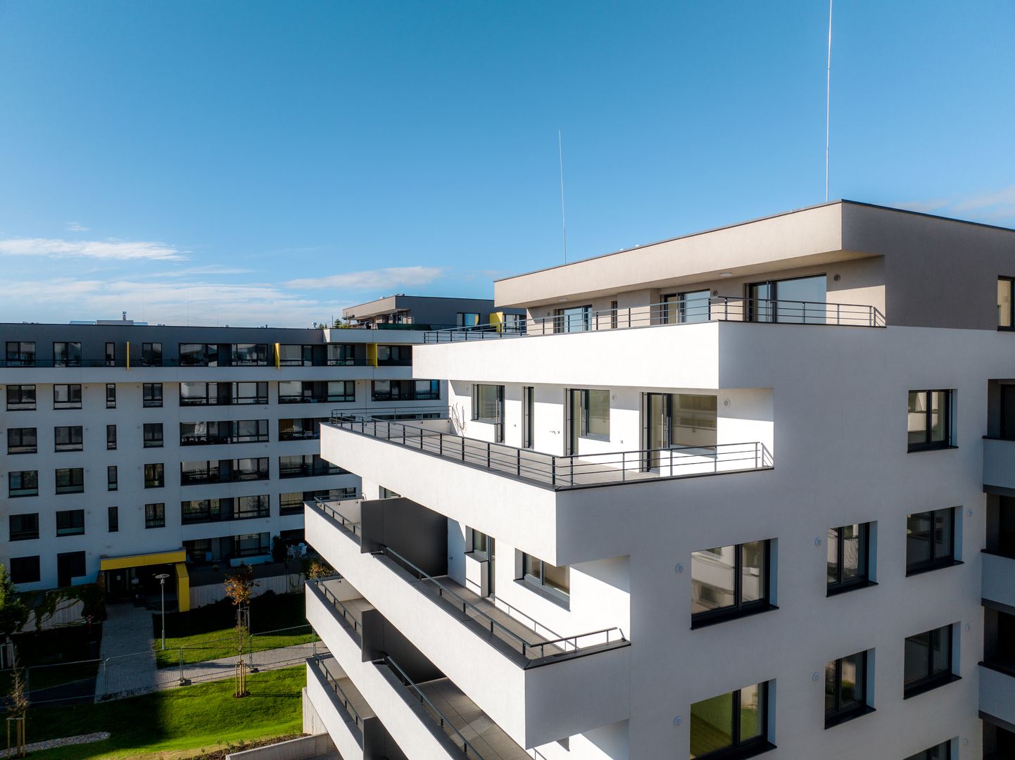 Arboria Kvetná, Trnava