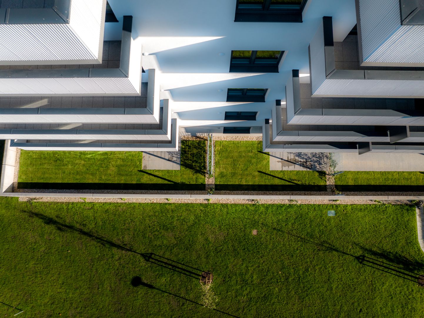 Arboria Kvetná, Trnava