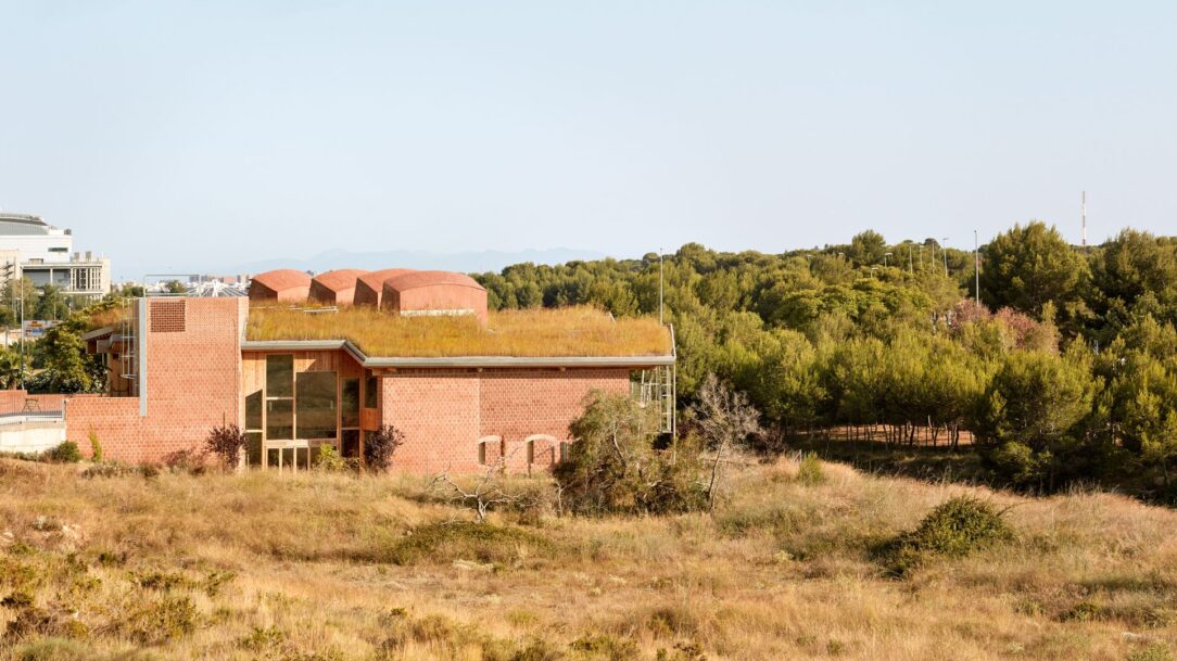 gradoli sanz imagine montessori (49)