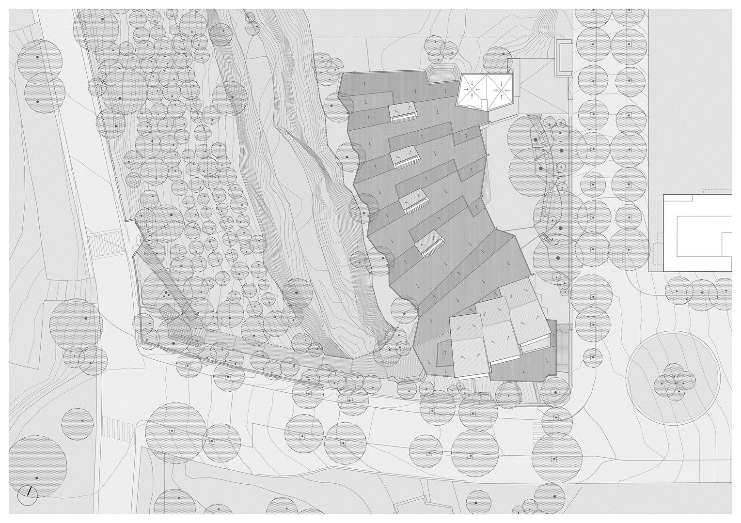 Imagine Montessori School v Španielsku 