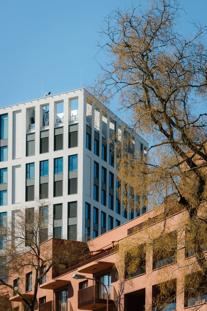 zwirn offices (4)