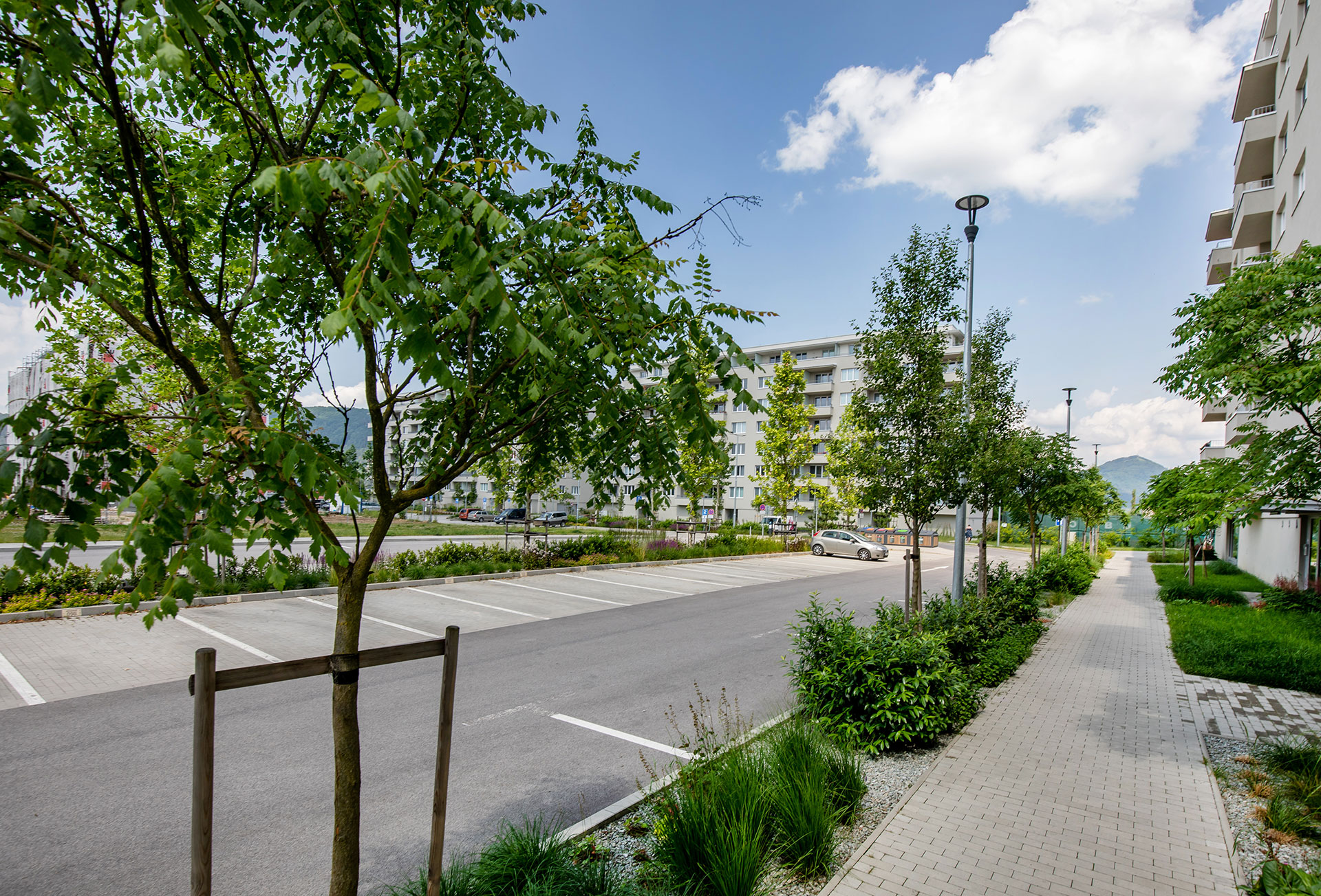 Zelené Vlčince, III. etapa