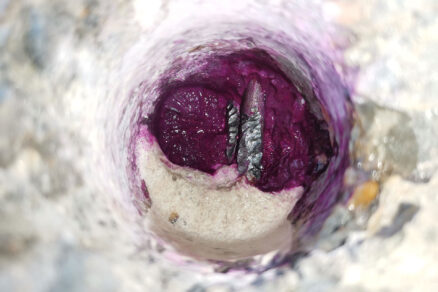 Problematika kontroly a prevádzky dodatočne predpätých segmentových mostov