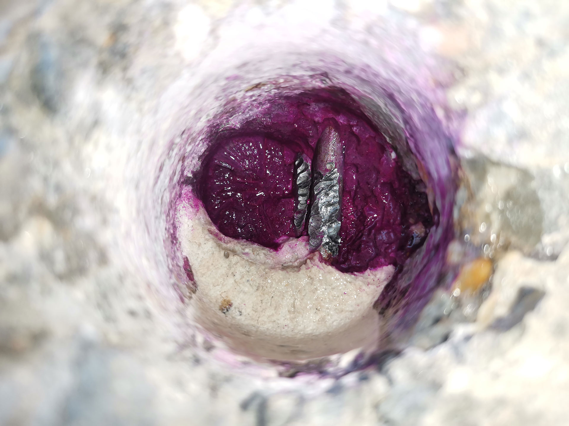 Obr. 4 Epoxidová výplň škáry medzi segmentmi nosníka I-73 (biela hmota), ktorá zatiekla do bezprostredného okolia predpätých drôtov ako dôsledok bezspojkového kontaktu medzi káblovými kanálikmi dvoch za sebou idúcich segmentov (fialová farba indikuje pH > 9,0 – prostredie chemicky nepriaznivé pre iniciáciu korózie drôtov).