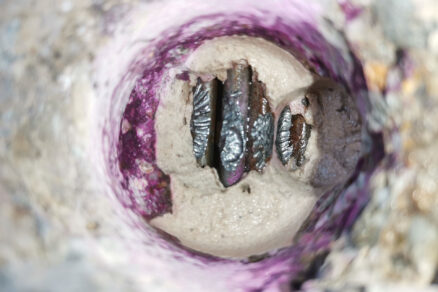 Problematika kontroly a prevádzky dodatočne predpätých segmentových mostov