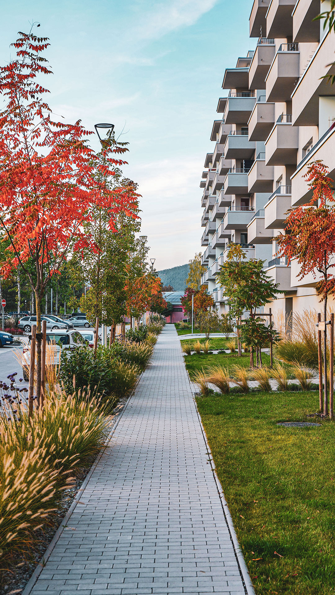 Zelené Vlčince, III. etapa