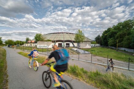 korytnacka zilina (10)