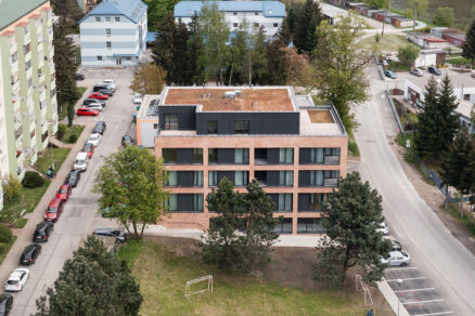 Zelená lipa, Dolný Kubín