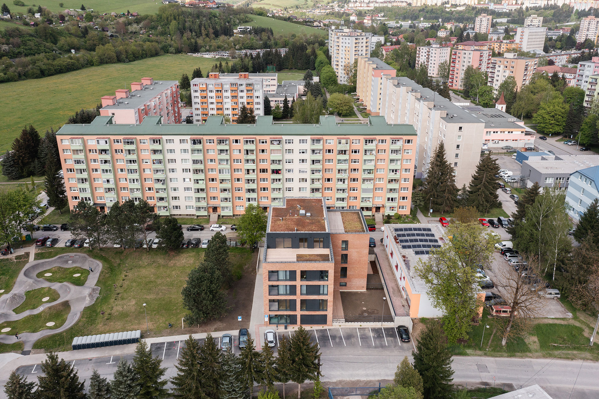 Zelená lipa, Dolný Kubín Zelená lipa, Dolný Kubín