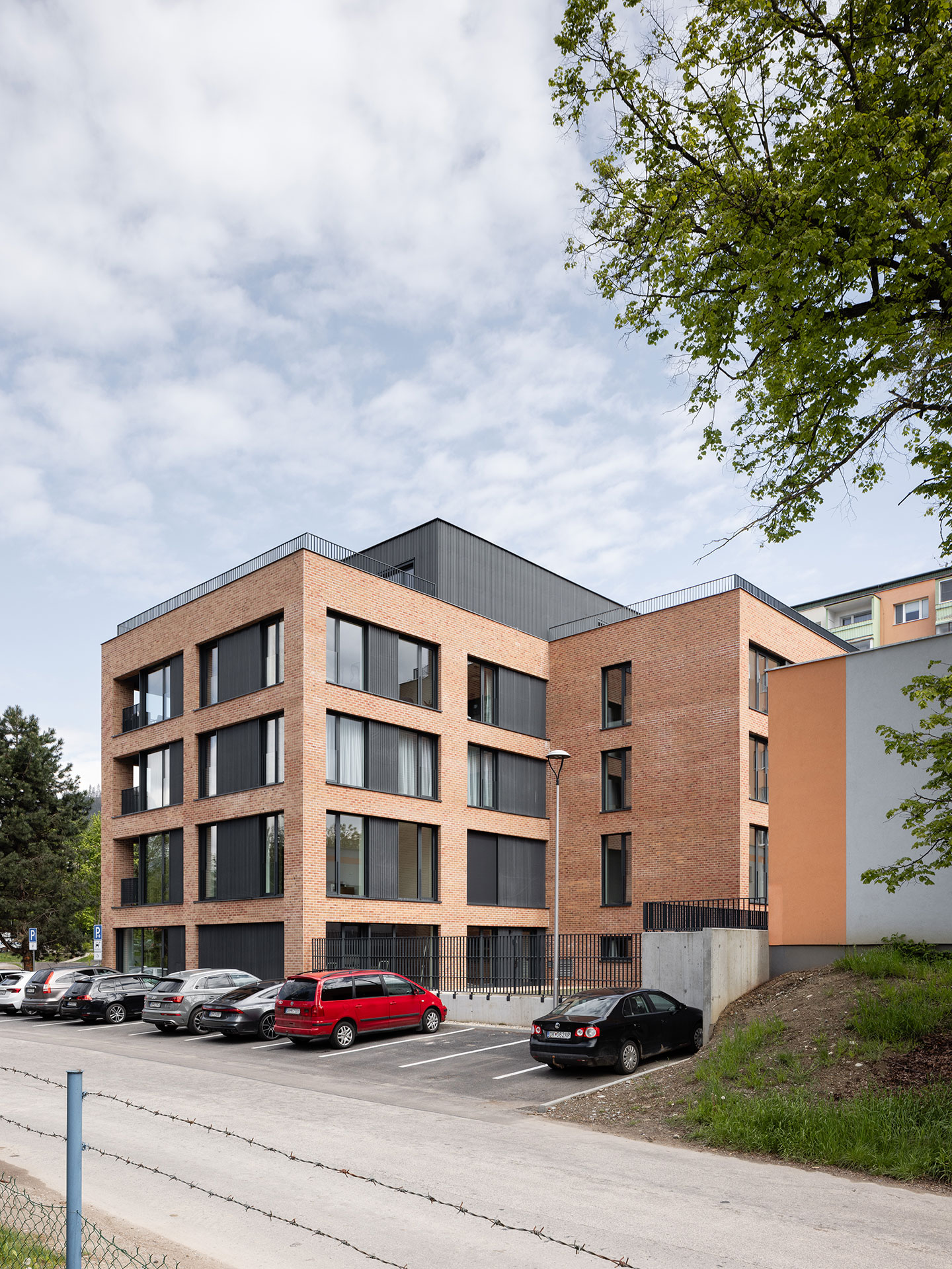 Zelená lipa, Dolný Kubín Zelená lipa, Dolný Kubín