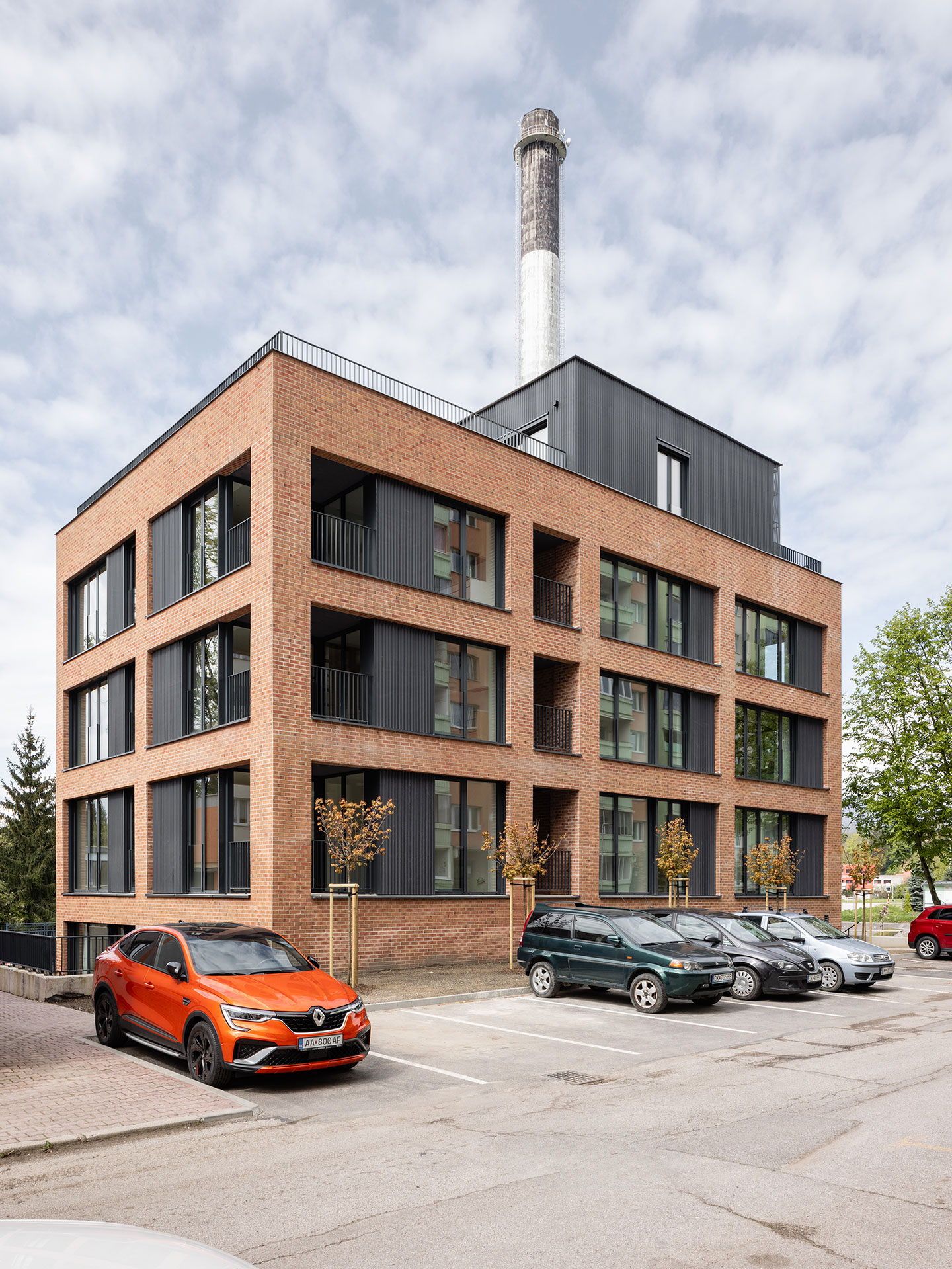 Zelená lipa, Dolný Kubín Zelená lipa, Dolný Kubín