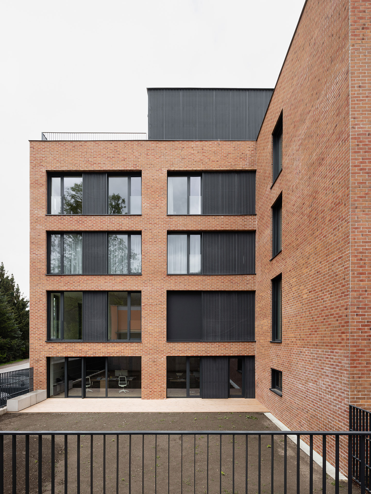 Zelená lipa, Dolný Kubín Zelená lipa, Dolný Kubín