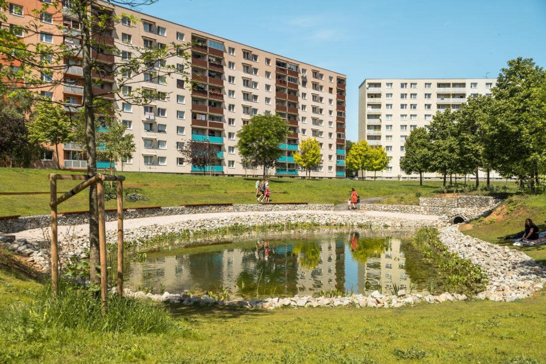 dvor agatka (8)