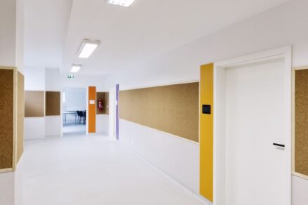 skola felix (11)