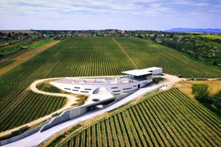 7 183314795 10227777718176662 2737824373271601053 n