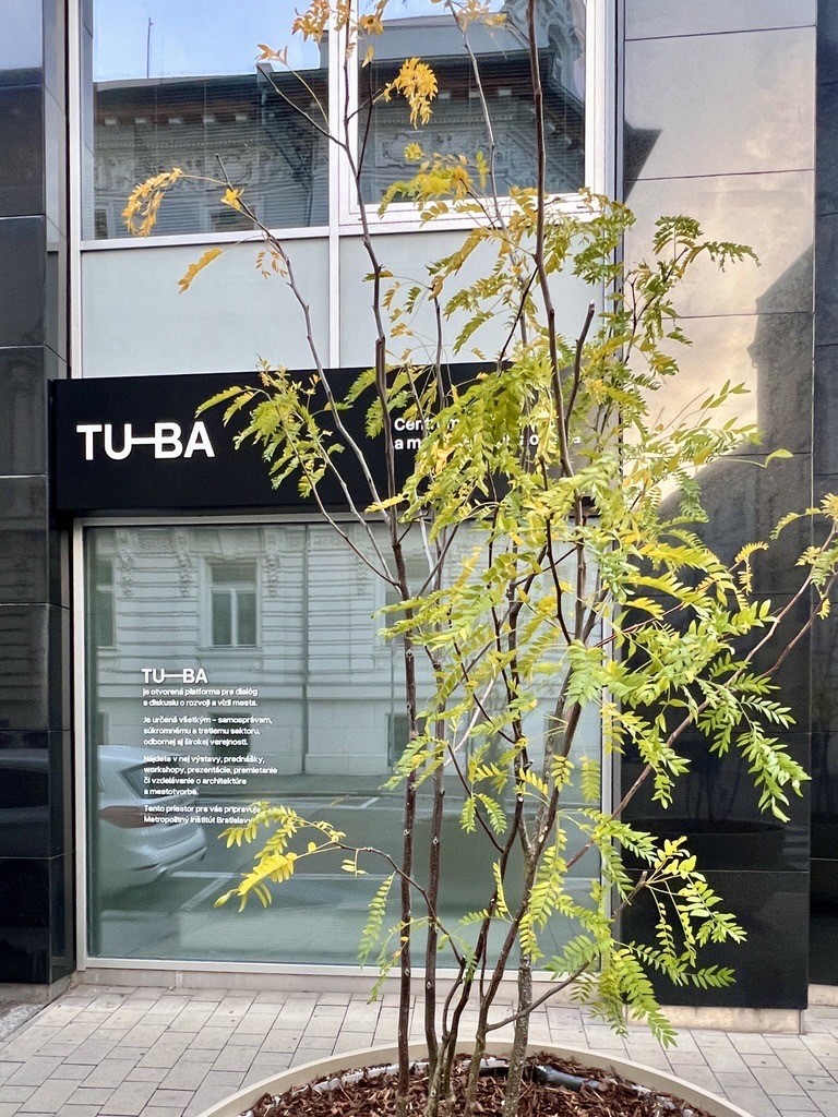 TU BA 2