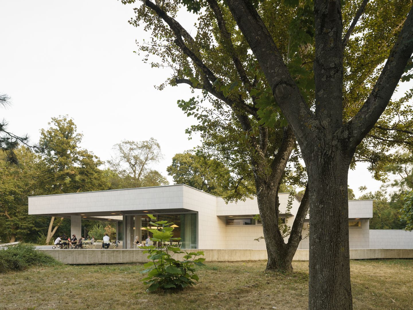 Bistro Ferdinand v petržalskom Sade Janka Kráľa 