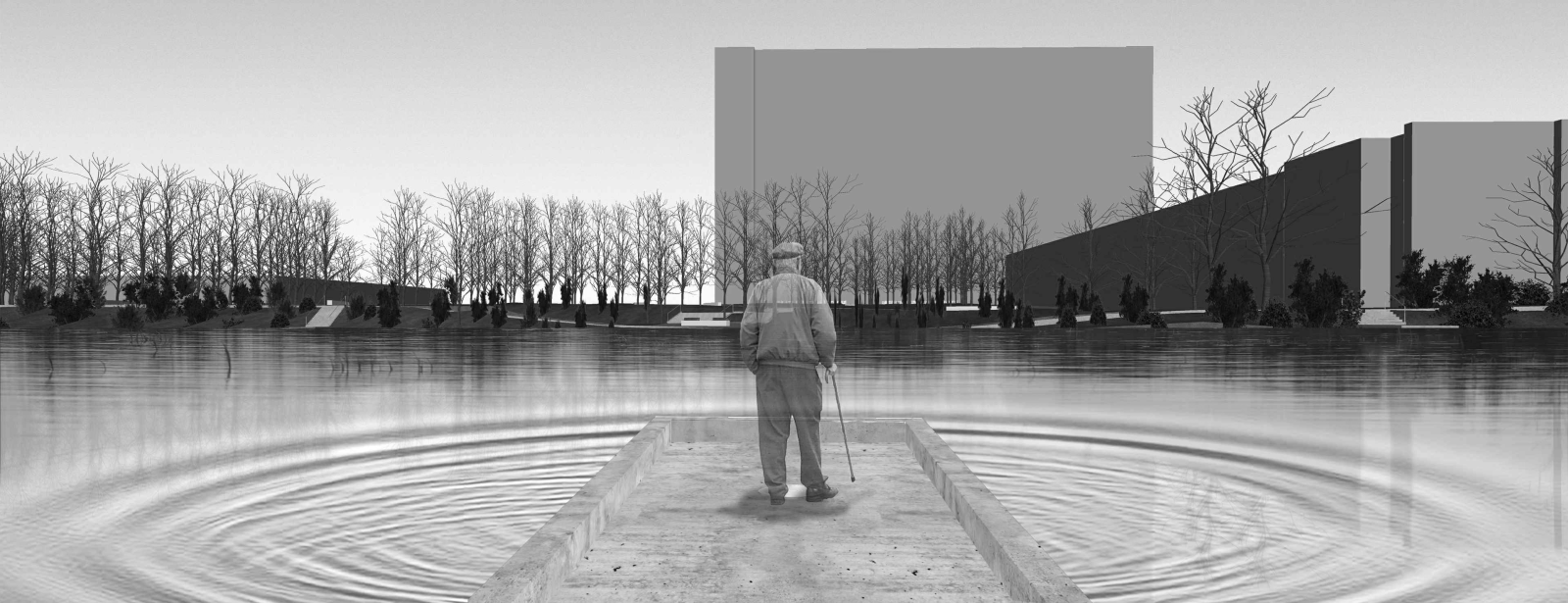 Metropolitný inštitút Bratislavy pokračuje v príprave plánovanej revitalizácie okolia jazera známeho ako Rohlík. 