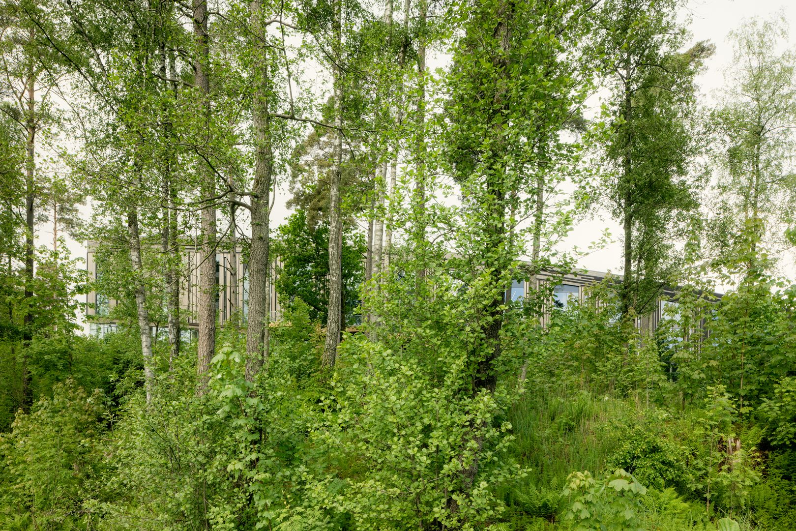 Viacúčelová budova Lakehouse