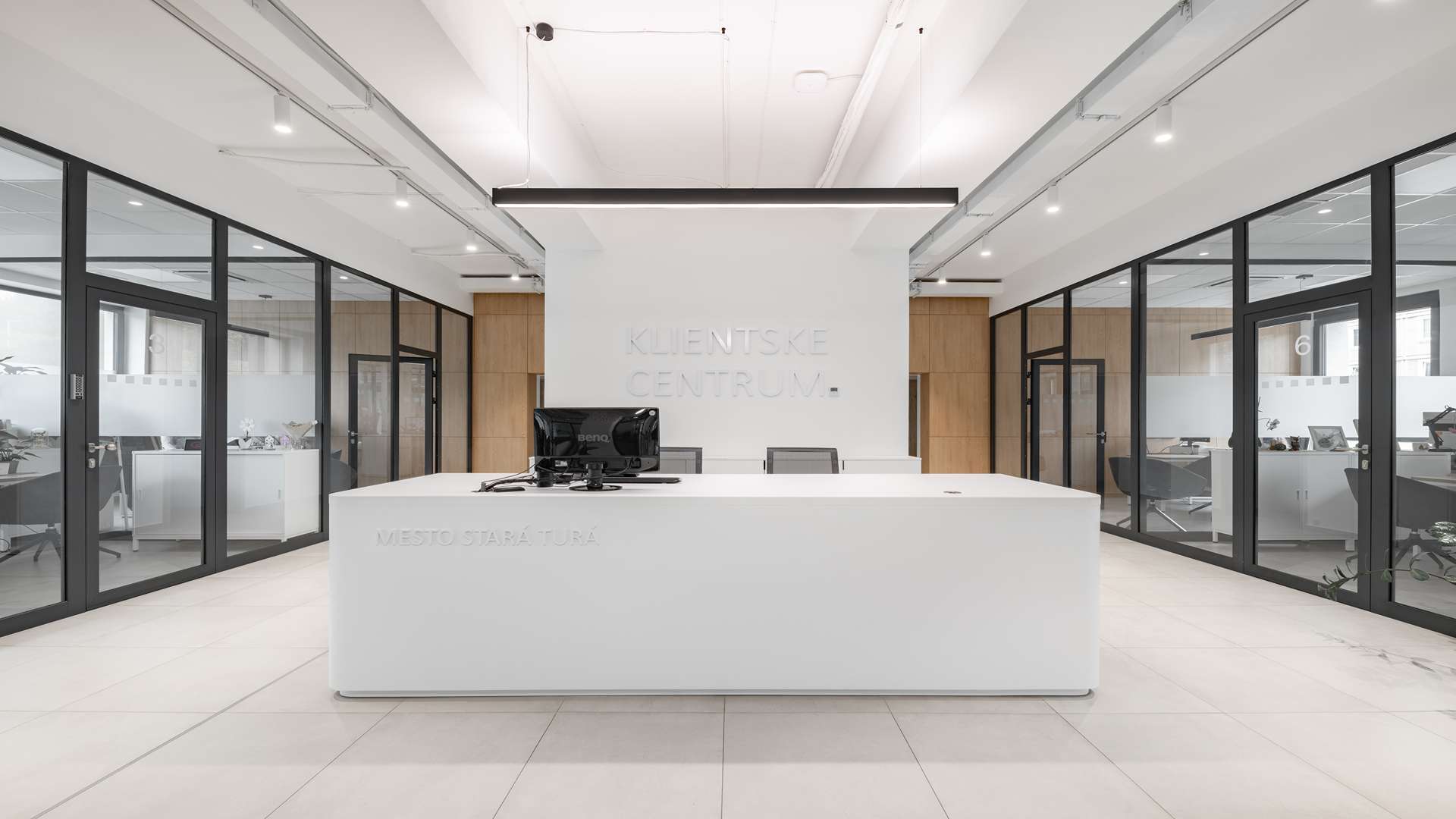 Mestský úrad, Stará Turá 