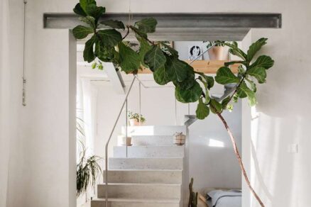 rekonstrukcia-zrekonstruovaneho-domu