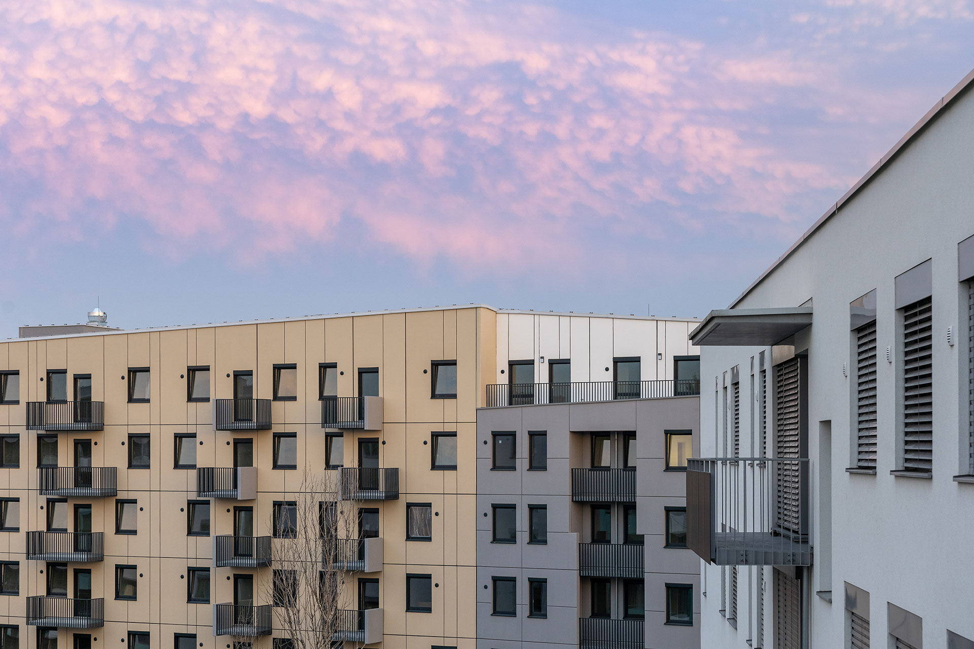 NUPPU Magnolia 2 NUPPU Magnolia 2