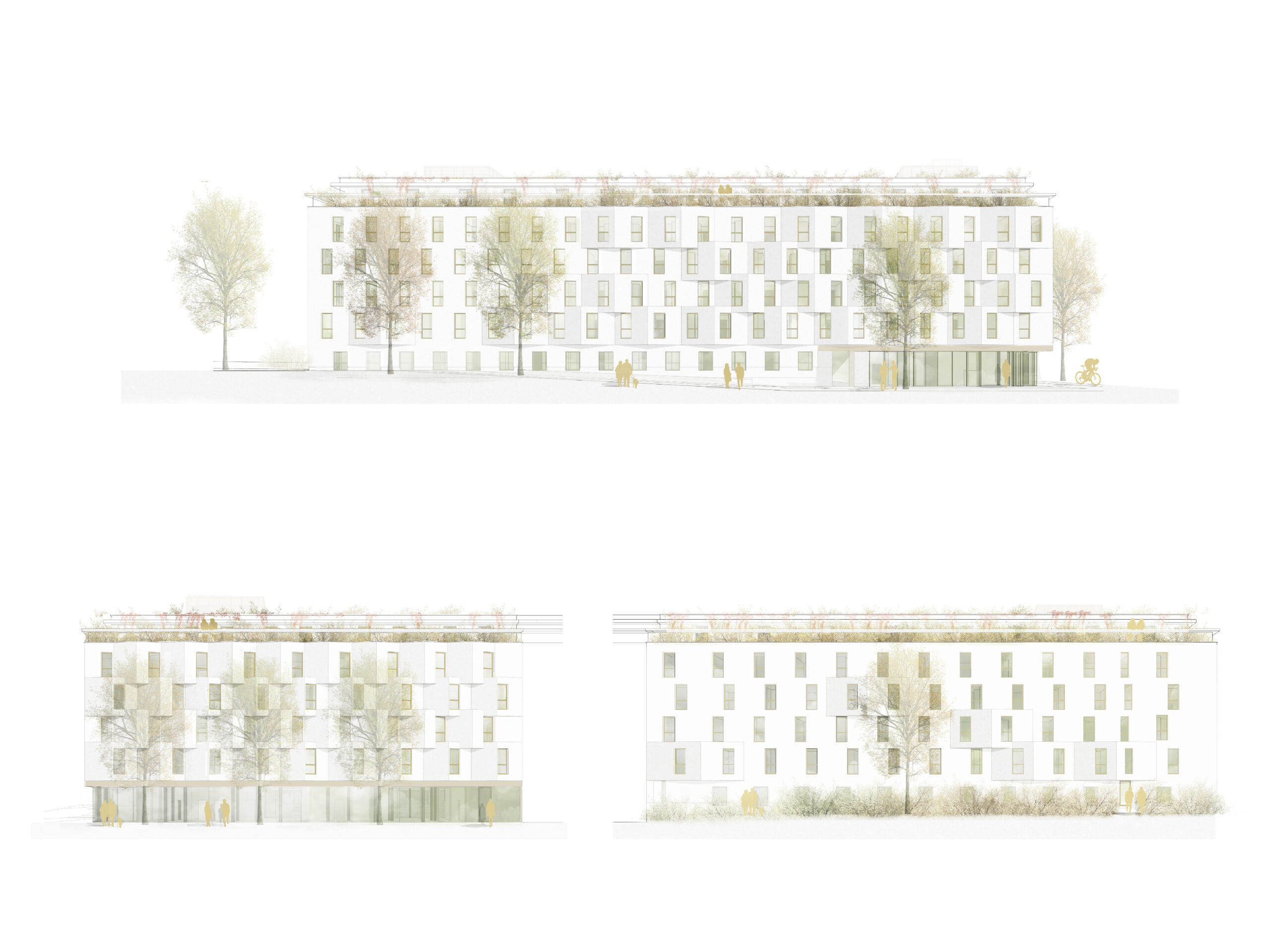 Študentské ubytovanie Schönaugürtel