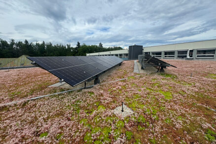 Rozsiahla biosolárna strecha s montážnou konštrukciou pre FVE panely v centre mesta