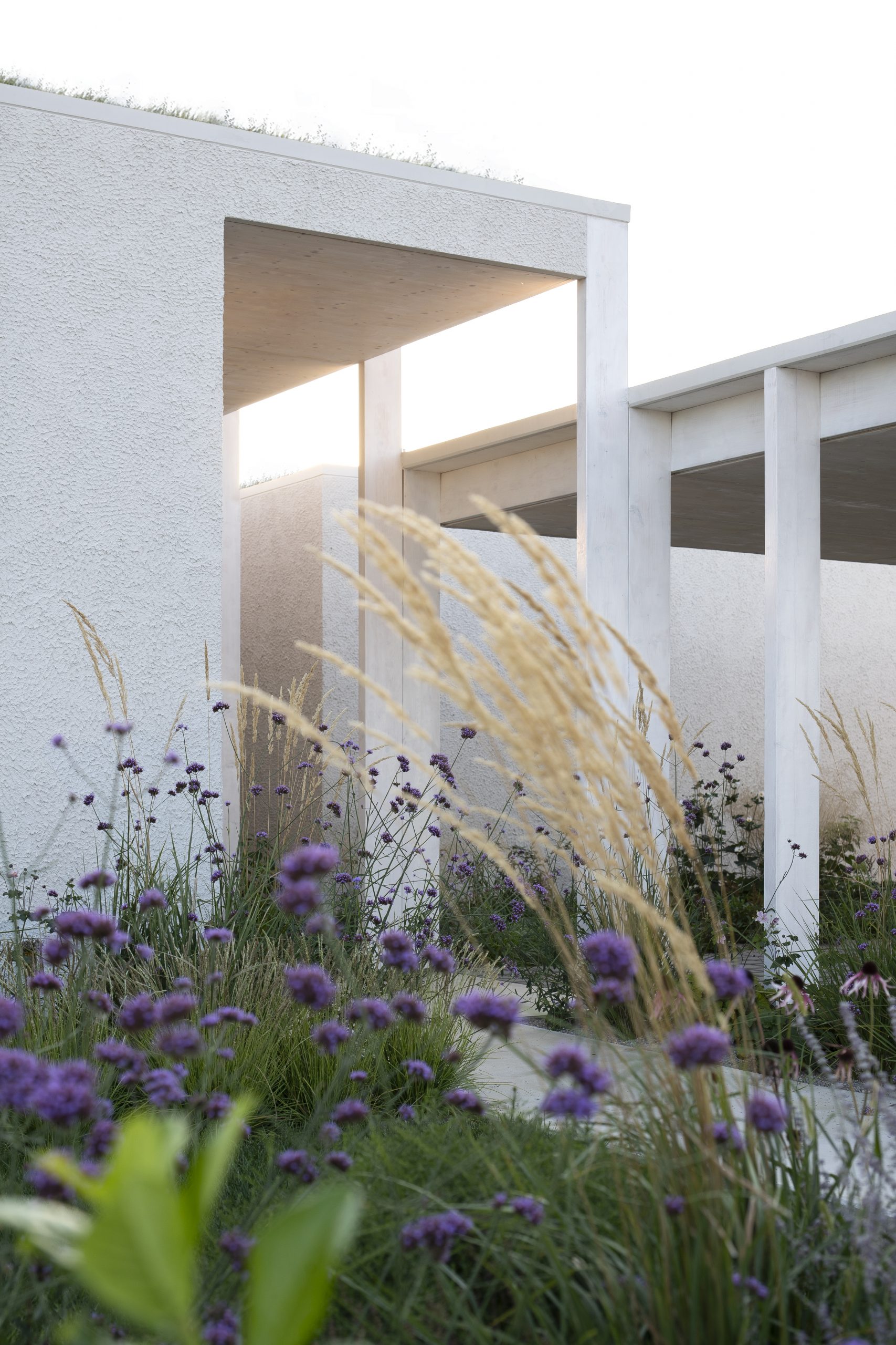 Návrh vstupných priestorov vychádza z filozofie vytvorenia tzv. záhybu priestoru