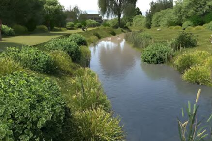 imageedit 3 8104121308