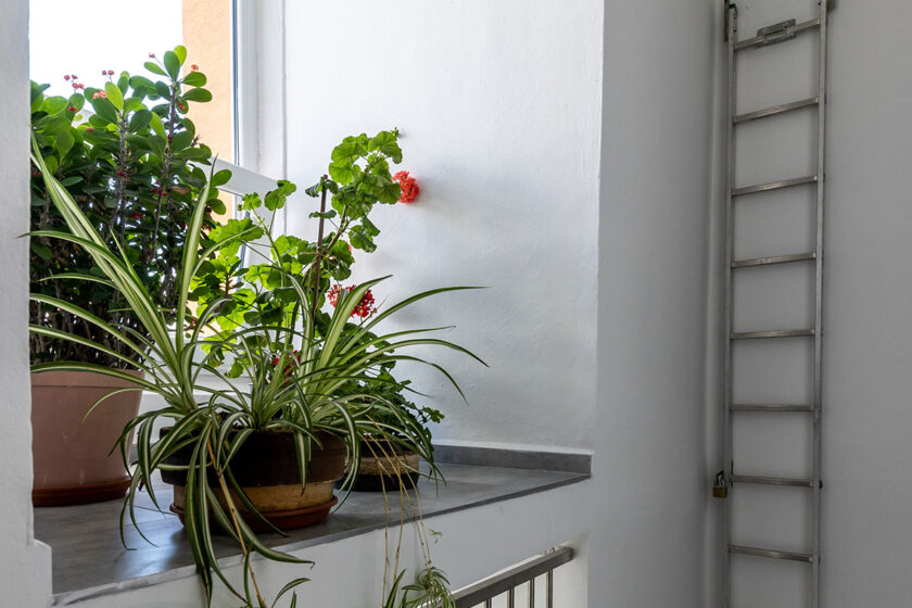 Prehľad: Interiérové hladké stierky