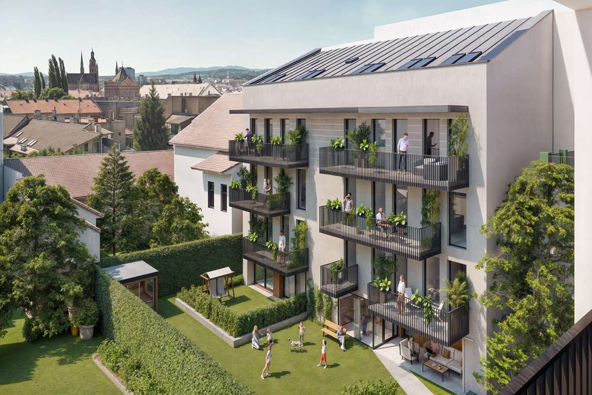 Drevený Trh, Košice