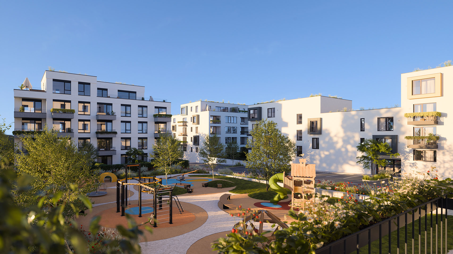 púpavy Hviezdoslav, Nitra pupavy-hviezdoslav