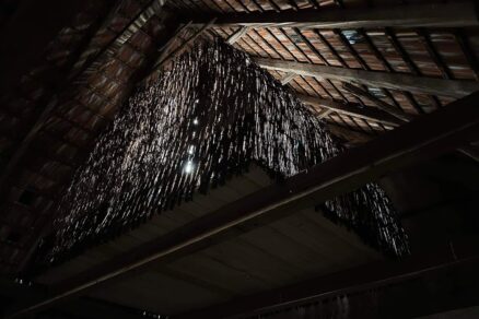 8 Tomáš Ružiak výsledok