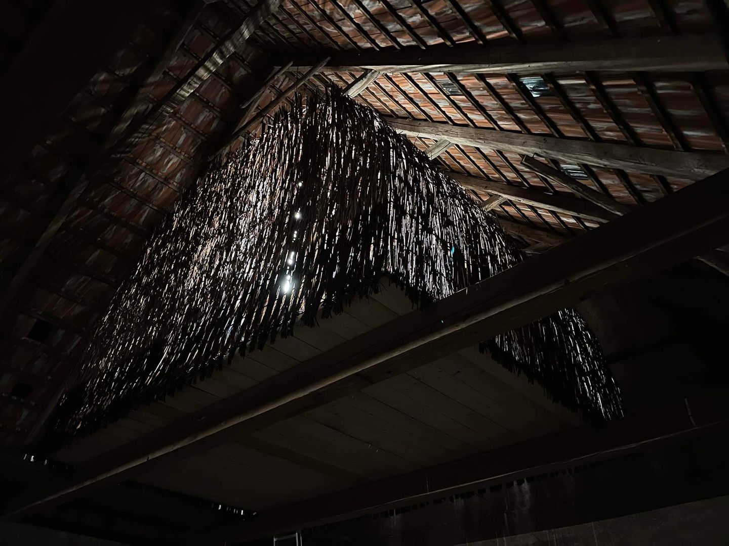 Občianske združenie Pustovňa pre umenie adaptovalo pôvodnú stodolu v obci Hontianske Trsťany.