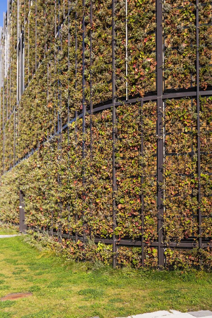 Zelená fasáda je skutočne atypická – svojím zaoblením rohu aj kombináciou sklenených panelov so zeleňou.