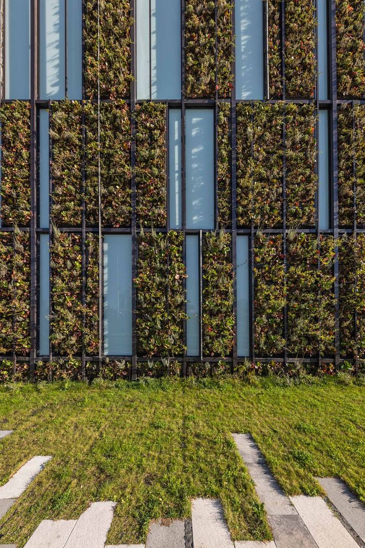 Zelená fasáda je skutočne atypická – svojím zaoblením rohu aj kombináciou sklenených panelov so zeleňou.