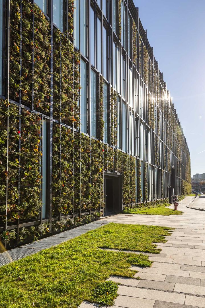 Zelená fasáda je skutočne atypická – svojím zaoblením rohu aj kombináciou sklenených panelov so zeleňou.